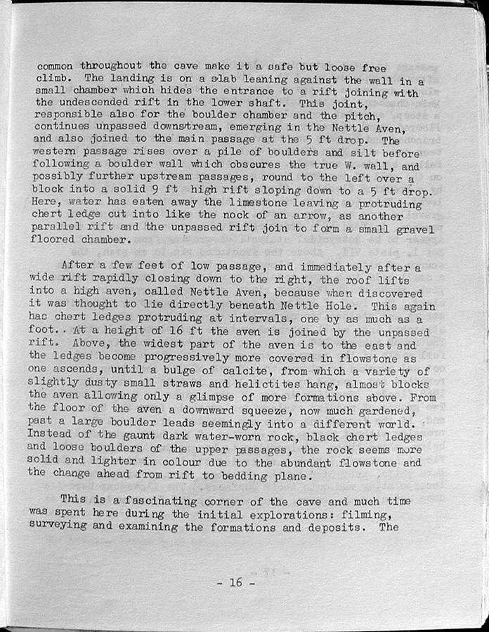 Page 16.jpg